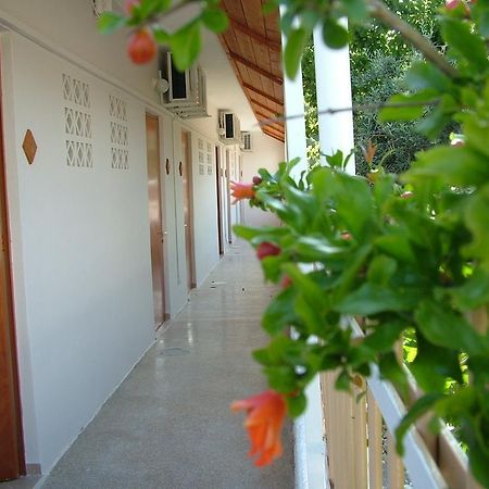 George'S Apartment Agia Marina  Стая снимка