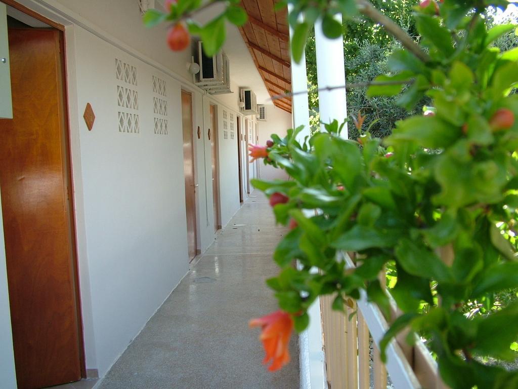 George'S Apartment Agia Marina  Стая снимка